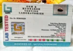 1 Mukhi Certificate