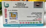 1 Mukhi Certificate