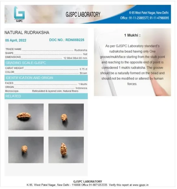 1 Mukhi Certificate