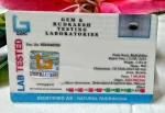 1 Mukhi Certificate