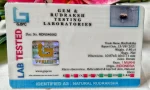 1 Mukhi Certificate