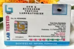 1 Mukhi Certificate