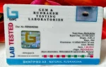 1 Mukhi Certificate