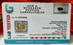 1 Mukhi Certificate