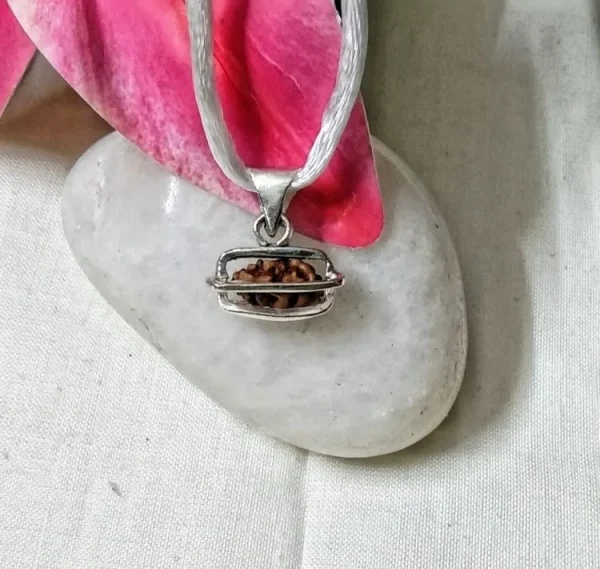 1 Mukhi Rudraksha