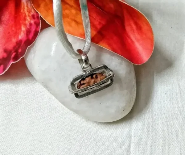 1 Mukhi Rudraksha