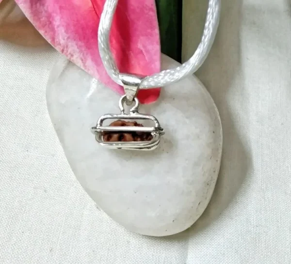 1 Mukhi Rudraksha