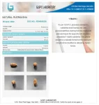 1 Mukhi Certificate