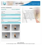 1 Mukhi Certificate