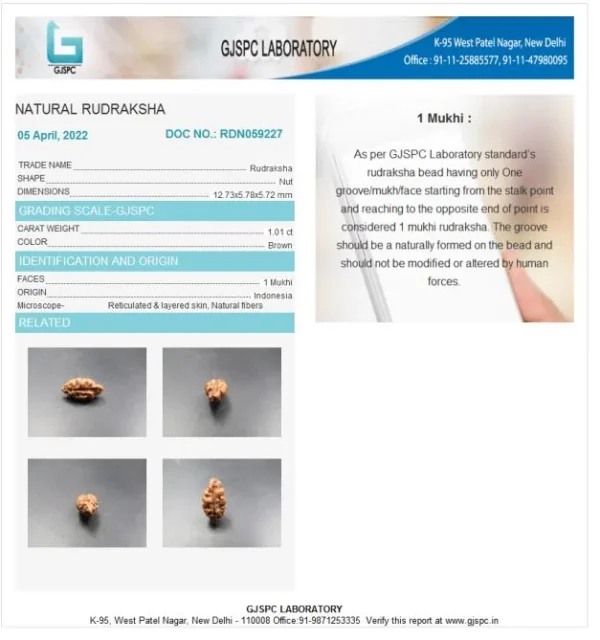 1 Mukhi Certificate