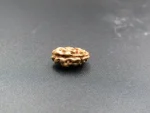 1 Mukhi Rudraksha