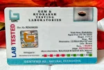 1 Mukhi Certificate