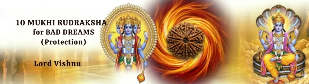 10 MUKHI RUDRAKSHA banner