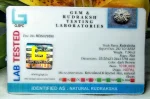 10 Mukhi Certificate