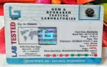 10 Mukhi Certificate