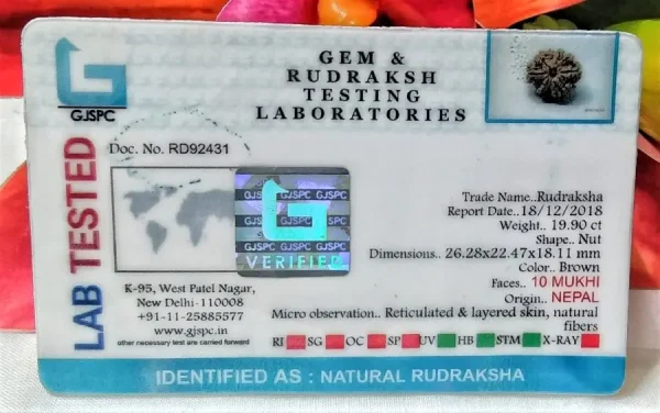 10 Mukhi Certificate