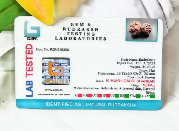10 Mukhi Certificate