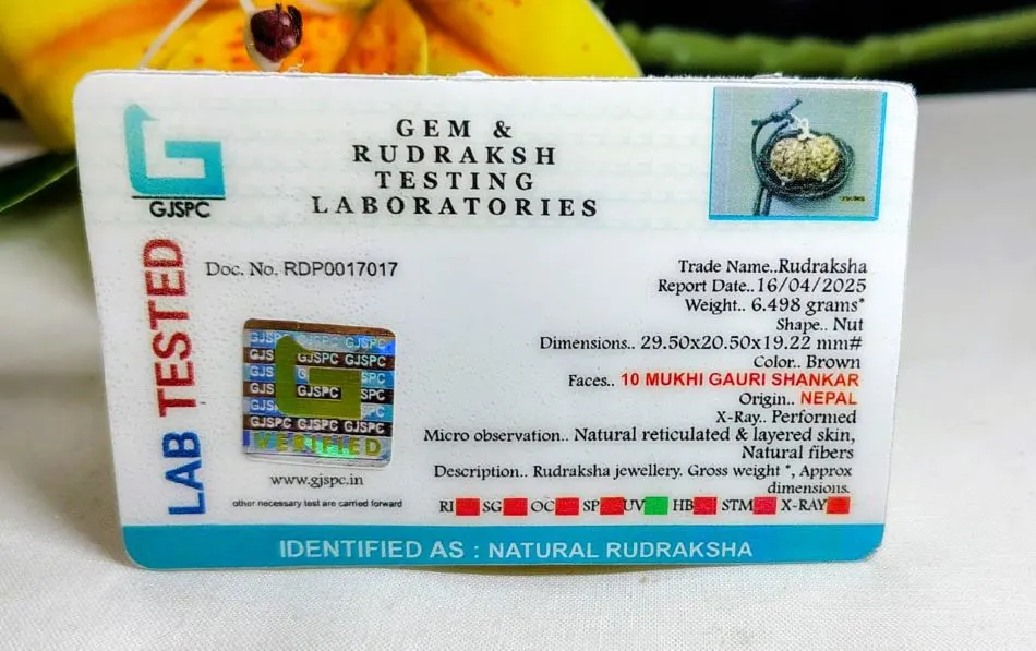 10 Mukhi Certificate
