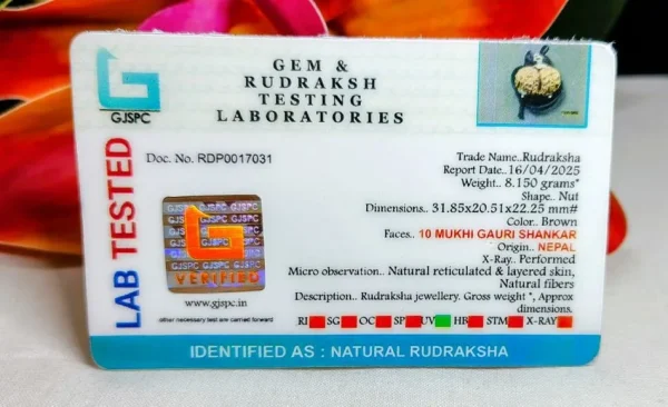 10 Mukhi Certificate