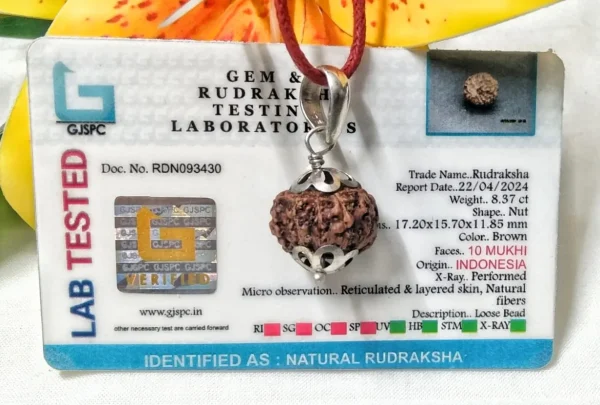 10 Mukhi Certificate
