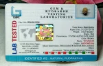 10 Mukhi Certificate