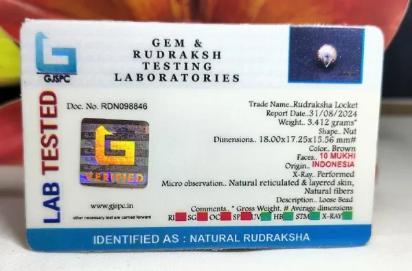 10 Mukhi Certificate