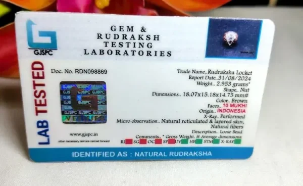 10 Mukhi Certificate
