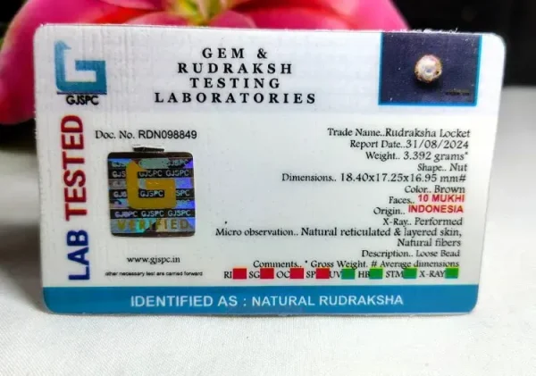 10 Mukhi Certificate