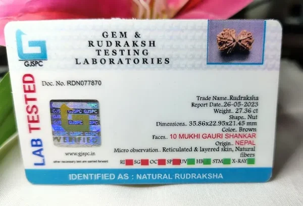 10 Mukhi Gaurishankar Certificate