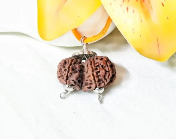 10 Mukhi Gaurishankar Rudraksha