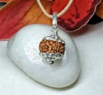 10 Mukhi Rudraksha