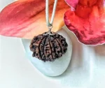 10 Mukhi Rudraksha