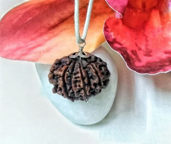 10 Mukhi Rudraksha
