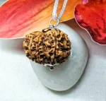 10 Mukhi Rudraksha