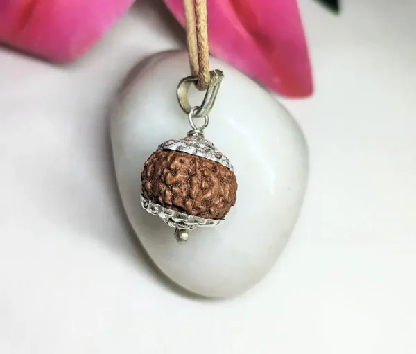 10 Mukhi Rudraksha