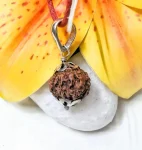 10 Mukhi Rudraksha
