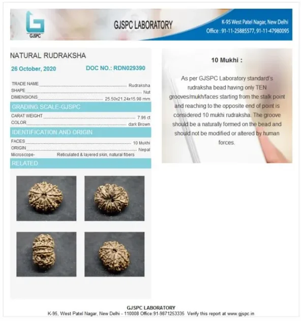 10 Mukhi Certificate