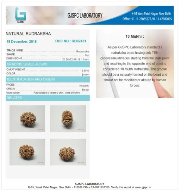 10 Mukhi Certificate