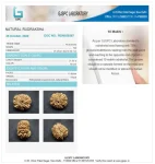 10 Mukhi Certificate