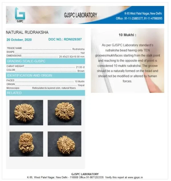 10 Mukhi Certificate