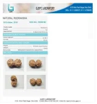 10 Mukhi Certificate