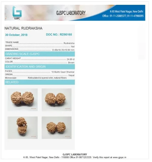 10 Mukhi Certificate