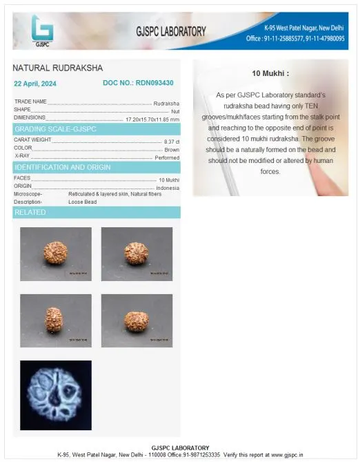 10 Mukhi Certificate