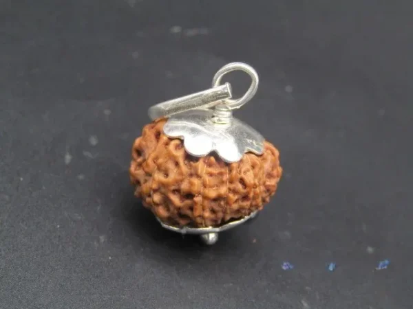 10 Mukhi Rudraksha