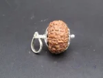 10 Mukhi Rudraksha