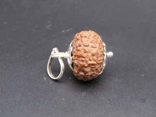 10 Mukhi Rudraksha