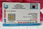 11 Mukhi Certificate