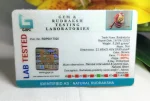 11 Mukhi Certificate