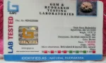 11 Mukhi Certificate