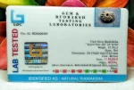 11 Mukhi Certificate